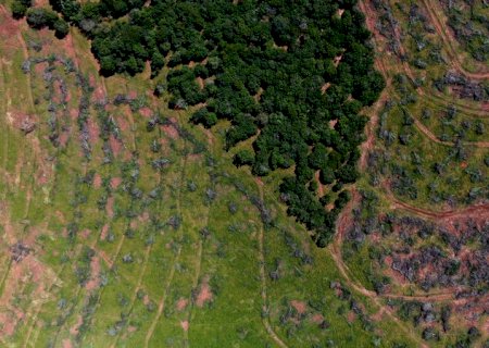 Fazendeira é autuada em R$ 134,5 mil por desmatamento de áreas para plantio de lavoura