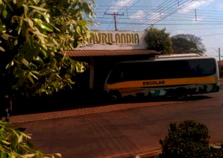 Anaurilândia: ônibus escolar desgovernado só para ao invadir comércio