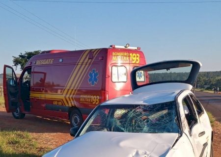 Ivinhema - Animal na pista causa acidente grave na MS-141 em frente a Incol.
