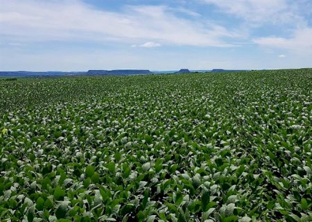 Saiba os obstáculos enfrentados pelo produtor em 2022