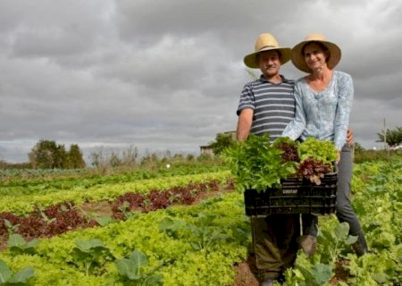 Projeto prevê a inclusão de itens da agricultura familiar em cesta básica