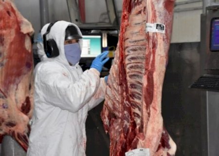 MS exporta 30% a mais de carne e pode se transformar em Estado multiproteína