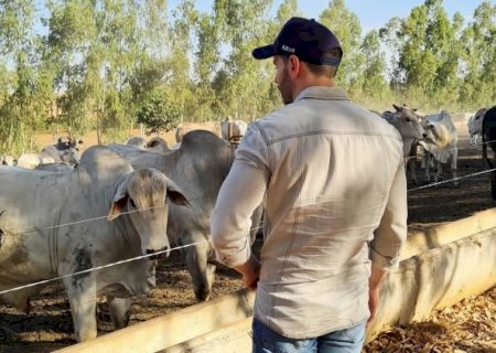 ‘Confinamentos estão levando prejuízo de até R$ 1 mil por animal’