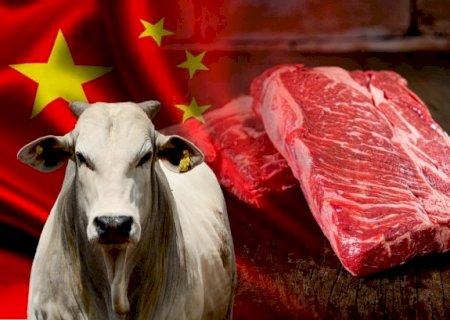 ‘Vaca louca fake’ não vai deixar picanha mais barata