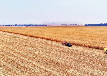 Mato Grosso do Sul foi o terceiro estado do Brasil que mais gerou vagas no agronegócio