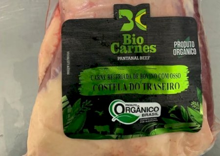 Pecuaristas buscam certificação de 'Carne Sustentável Pantaneira'