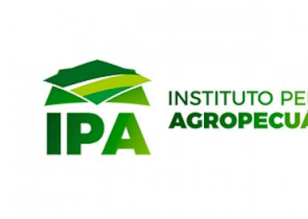 “Queremos de volta a estrutura do MAPA', diz líder do Instituto Pensar Agro