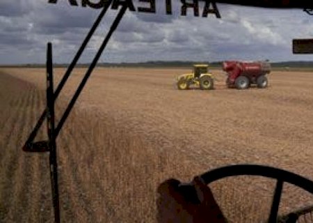 Argentina: Comércio agrícola com o Brasil pode ficar ainda mais competitivo