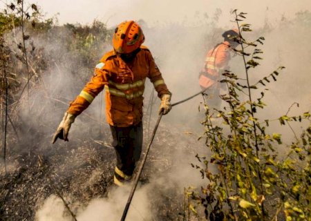 Dia do Pantanal: ‘Reconstrução’ do bioma passa por punição de quem ateou ou se aproveitou de incêndios