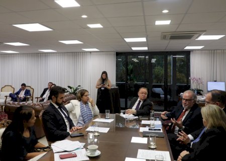 TJMS recebe Ministra das Mulheres em reunião e define medidas de urgência