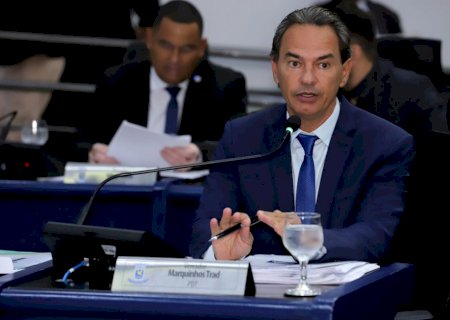 Projeto de Lei 'Escola Atenta' propõe atividades educativas para identificação e prevenção de violência contra a mulher nas escolas de Campo Grande