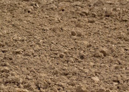 Solo mais ácido diminui capim invasor e ajuda a restaurar vegetação do Cerrado