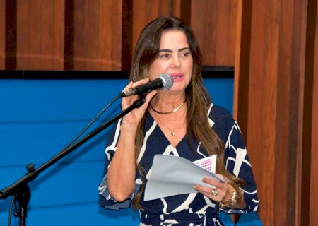 Comissões se reúnem para trazer soluções à escalada de feminicídios em MS