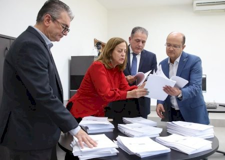 Reformulação na rede de proteção à mulher: GT faz análise de risco em boletins de ocorrências