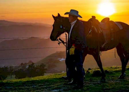 Orgulhos do pecuarista: cinco práticas essenciais para lucrar mais na fazenda