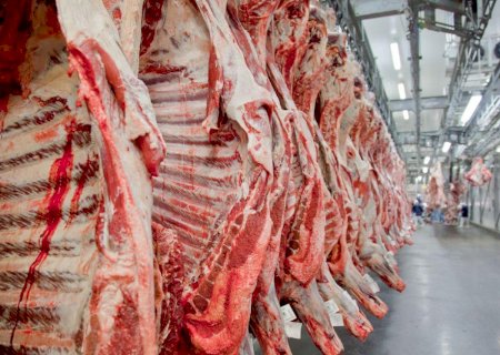 Carne bovina: apesar da nova tarifa, Abiec crê em estreitamento de parceria com EUA