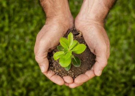 Mapa lança programa para impulsionar projetos sustentáveis no agro até 2030