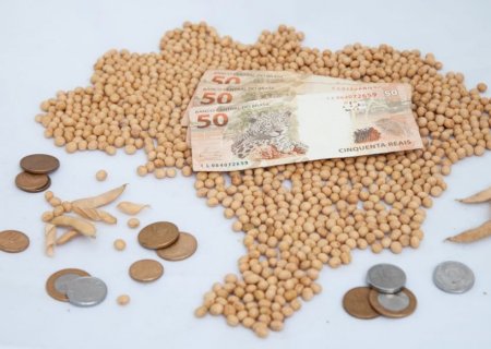 Confira os preços da soja em dia de relatório do USDA