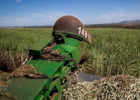 Moagem de cana registrou queda de 21% na primeira quinzena de junho