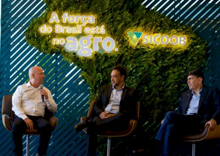 Sicoob projeta liberar R$ 60 bilhões em crédito rural no Plano Safra 2025/2026