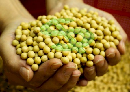 Rendimento médio de trabalhadores da agropecuária cresceu 5,5% no 1º trimestre