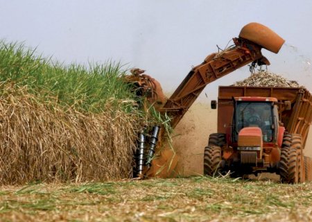 Açúcar: com vendedores mais firmes, cotações sobem