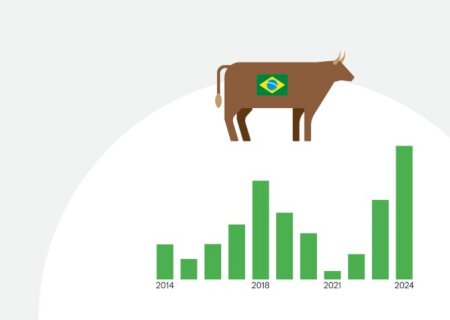 Fim da exportação de bois vivos representa ganho de R$ 1,9 bi