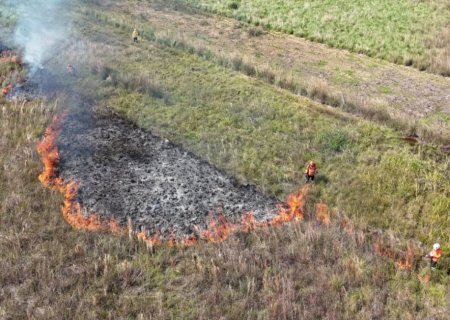 MS registra até mil incêndios no mês mais crítico e reforça alerta