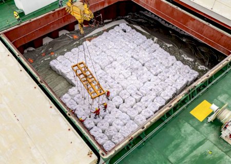 Brasil registra alta de 10,5% nas entregas de fertilizantes no primeiro semestre de 2025