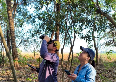 Global Big Day destaca Mato Grosso do Sul e o Vale das Águas entre os destaques da observação de aves no Brasil