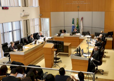 TJ nega indenização e multa autora por má-fé em ação sobre devolução de passaporte e gato