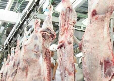 Setor de carne em MS reage com cautela à redução parcial de tarifas dos EUA