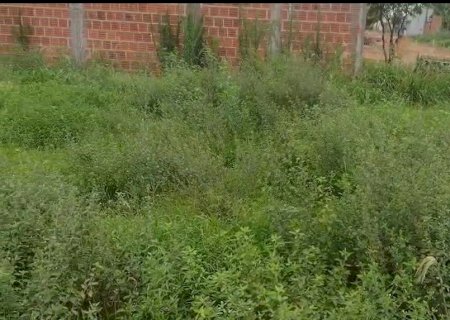 Morador denuncia terrenos abandonados em bairros de Batayporã