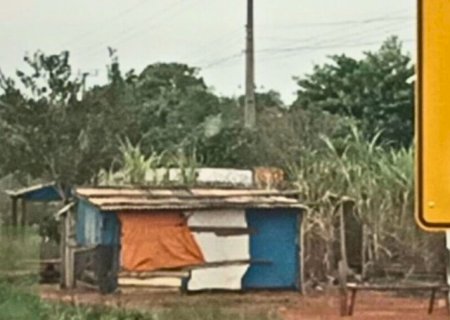 Ivinhema - Acampamento sem-terra na MS-141 vira alvo de inquérito no Ministério Público Estadual