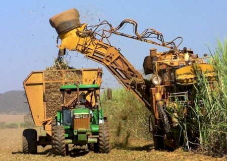 Clima adverso impacta safra de cana-de-açúcar em MS, mas produção segue em alta