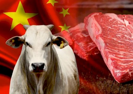 Mapa descarta restrições da China à carne bovina do Brasil