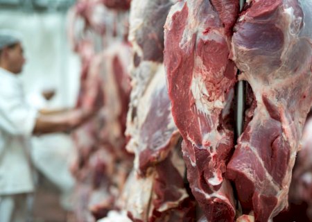 Mercado do boi segue estável enquanto exportações de carne bovina se aproximam de recorde