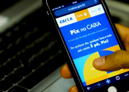 Pix bate recorde e supera 313 milhões de transações em um dia