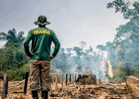 STF definirá quem julga crimes contra espécies ameaçadas