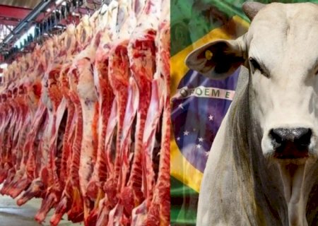 Em 2025 Brasil assumiu liderança mundial na produção de carne em 2025