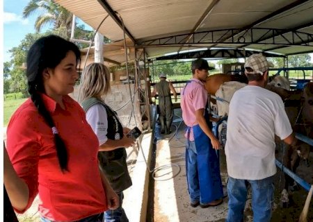 Ex-costureira investe na produção de leite e vira referência em Mato Grosso