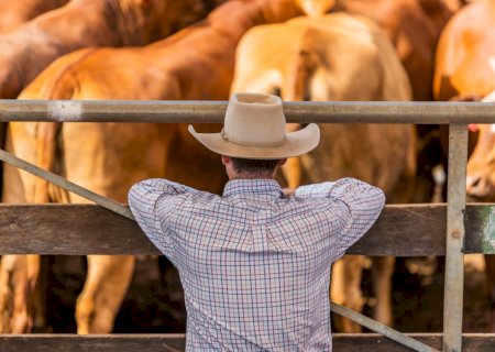 Preços agropecuários caem 3,75% em janeiro