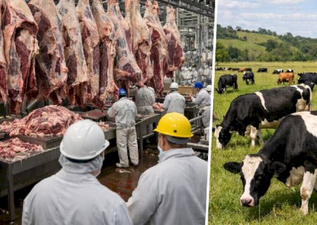 Cota de carne bovina da América do Sul à China deve se esgotar em julho