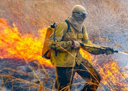 Governo divulga planejamento para enfrentar incêndios em 2026