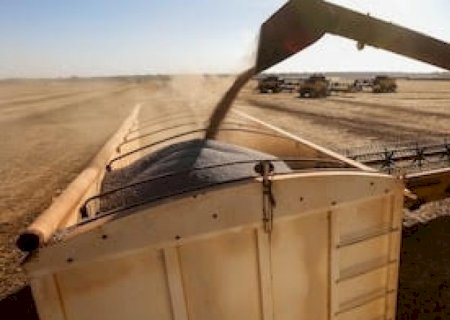 Fertilizantes: Caminhos para reduzir a vulnerabilidade do agro brasileiro