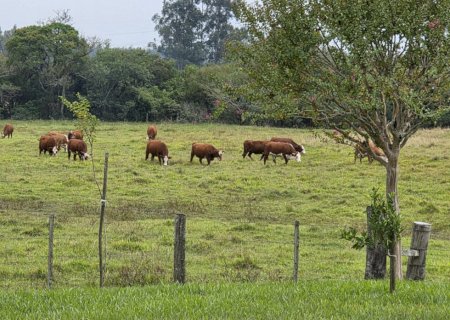 Ferramenta de simulação prevê projeção de cenários no agronegócio