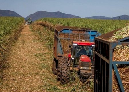 Preços do açúcar sobem no Brasil, enquanto etanol mostra estabilidade