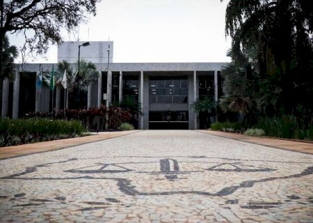 Dono de cães é condenado após ataque que matou gata em MS