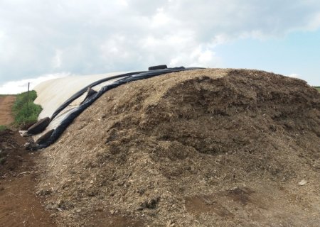 Volumoso garante produtividade e ganho de peso do rebanho durante a seca