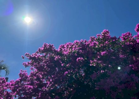 Frio e tempo firme marcam amanhecer no Vale do Ivinhema e em Mato Grosso do Sul